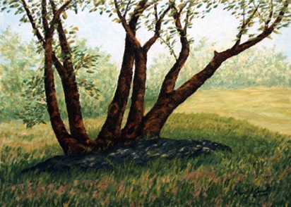 Tree Study
9" x 12"
oil on linen board
©2009